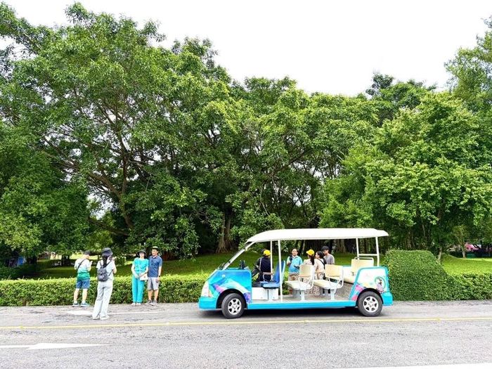Xe điện phục vụ du khách tham quan, kết nối các điểm đến di sản nổi bật tại Tân Trào