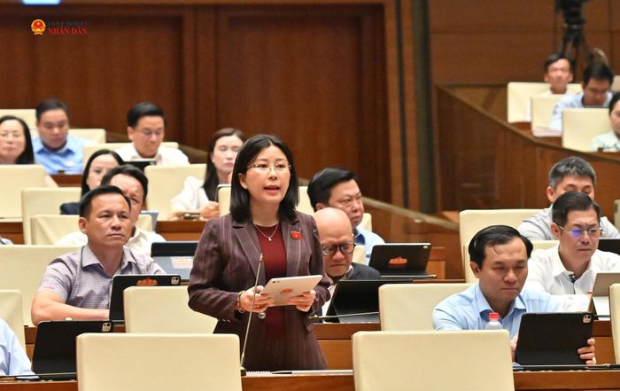 ĐBQH Lê Đào An Xuân (Đắk Lắk) phát biểu. Ảnh: Quang Khánh