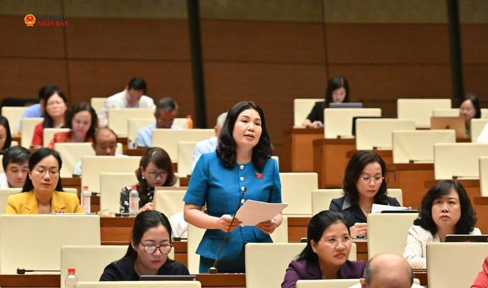 ĐBQH Trần Thị Vân (Bắc Ninh) phát biểu. Ảnh: Quang Khánh