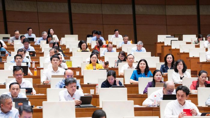 Các đại biểu tham dự phiên thảo luận sáng 12/8. Ảnh: H.Nga