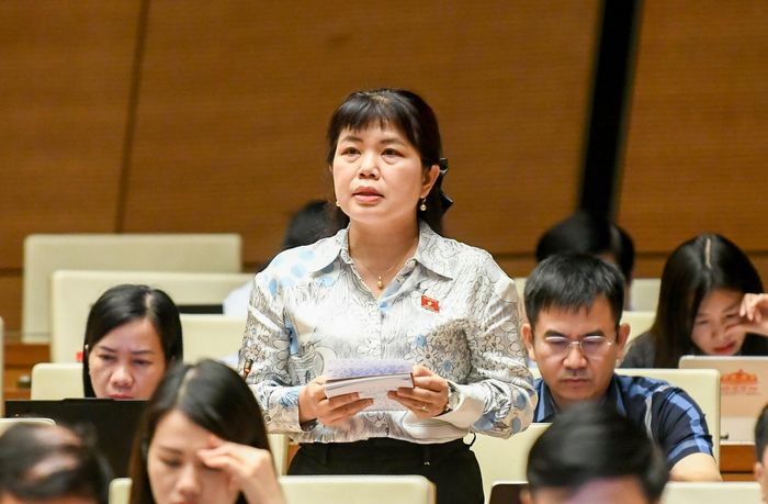 Phó trưởng Đoàn chuyên trách Đoàn ĐBQH tỉnh Quảng Ninh Nguyễn Thị Thu Hà phát biểu tại phiên thảo luận