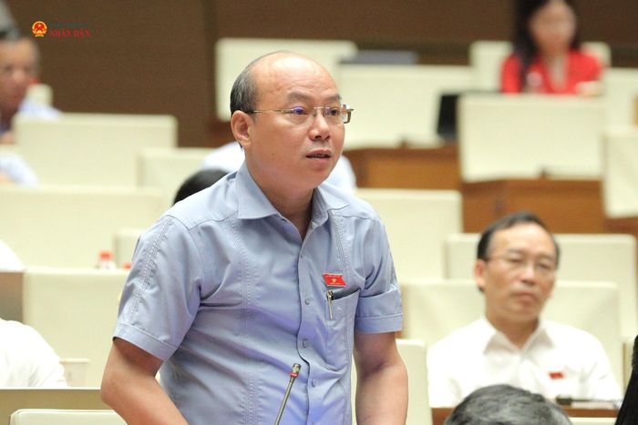 ĐBQH Hoàng Văn Nghĩa (Quảng Ngãi) phát biểu. Ảnh: Hồ Long