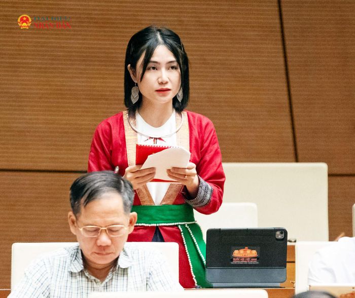 ĐBQH Nguyễn Lê Ngọc Linh (Thanh Hóa) phát biểu. Ảnh: Phạm Thắng