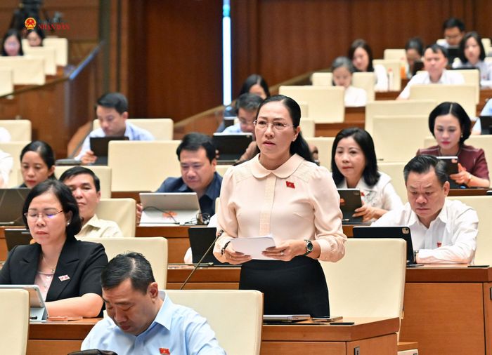 ĐBQH Nguyễn Thị Yến Nhi (Vĩnh Long) phát biểu. Ảnh: Quang Khánh
