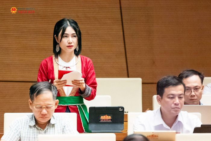 ĐBQH Nguyễn Lê Ngọc Linh (Thanh Hóa) phát biểu. Ảnh: Phạm Thắng