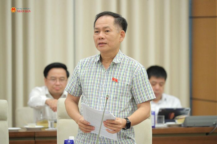 ĐBQH Trần Đình Gia (Hà Tĩnh) phát biểu