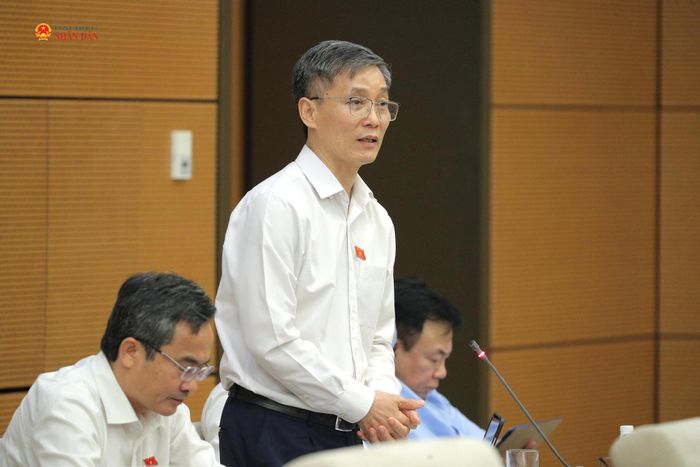 ĐBQH Nguyễn Khánh Ngọc (TP. Đà Nẵng) phát biểu