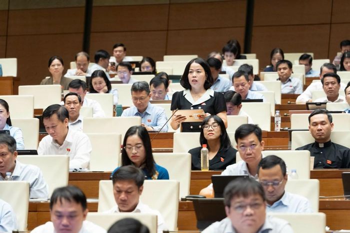 Đại biểu Lý Thị Lan (Đoàn Tuyên Quang). Ảnh: Media Quốc hội