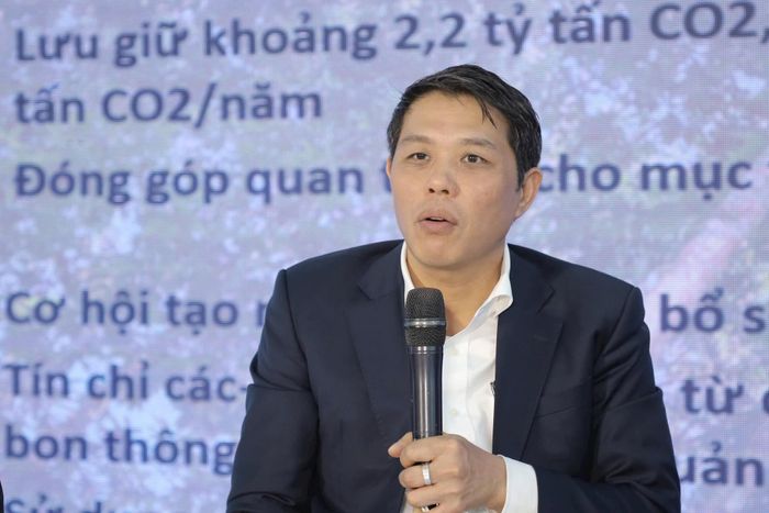 Ông Vũ Tấn Phương, Giám đốc Trung tâm Chứng nhận Quản lý rừng bền vững (VFCC). Ảnh: Minh Khôi