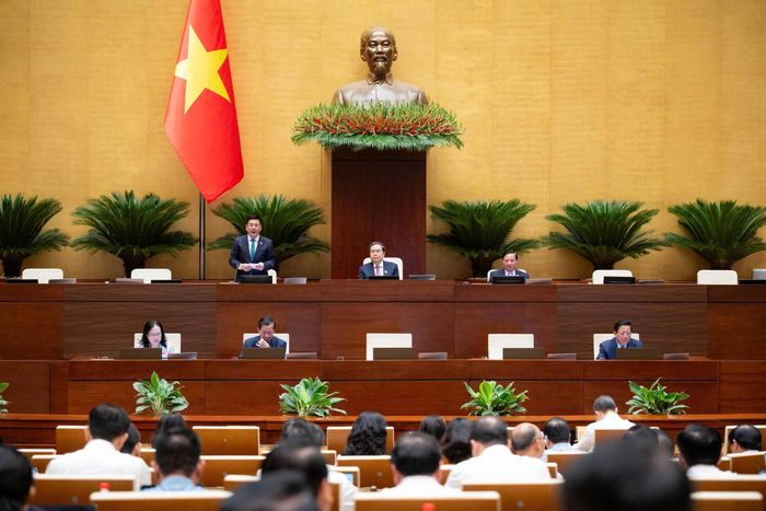Phó Chủ tịch Quốc hội Nguyễn Hồng Diên phát biểu Phiên thảo luận
