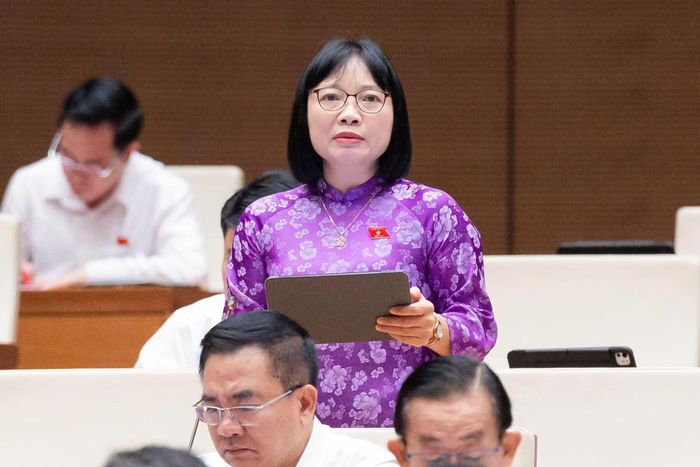 Đại biểu Nguyễn Thị Việt Nga (Đoàn ĐBQH tỉnh Hải Phòng) phát biểu tại phiên thảo luận.
