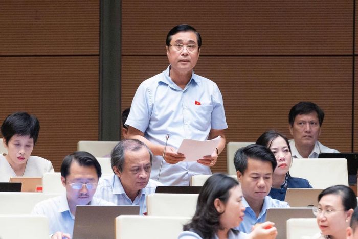 Đại biểu Nguyễn Ngọc Sơn (Đoàn ĐBQH tỉnh Hải Phòng) phát biểu tại phiên thảo luận.