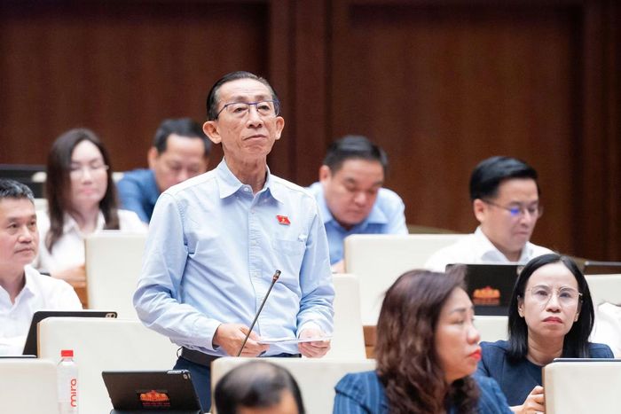 Đại biểu Trần Hoàng Ngân (Đoàn ĐBQH TP Hồ Chí Minh) phát biểu tại phiên thảo luận.