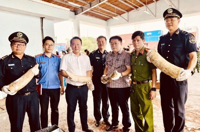 Chi cục Điều tra chống buôn lậu đã bàn giao hồ sơ, tang vật cho Cơ quan Cảnh sát điều tra, Công an tỉnh Gia Lai tiếp nhận, xử lý theo thẩm quyền.