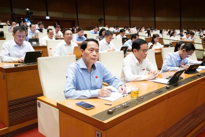 Các đại biểu tham dự phiên thảo luận chiều 12/8.