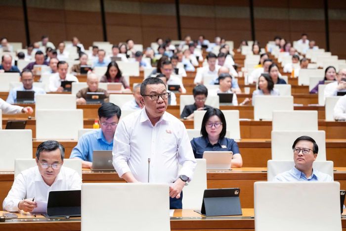 Đại biểu Trần Mạnh Huy (Đoàn ĐBQH TP Đà Nẵng) phát biểu thảo luận.