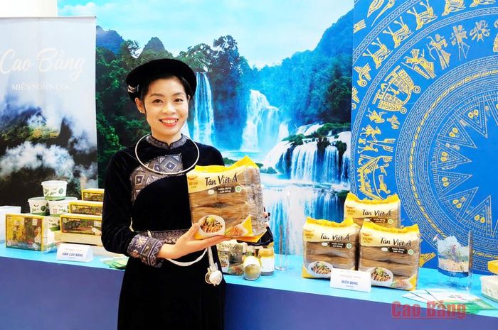 Sản phẩm miến dong Tân Việt Á được trưng bày, giới thiệu tại hội chợ xúc tiến thương mại.