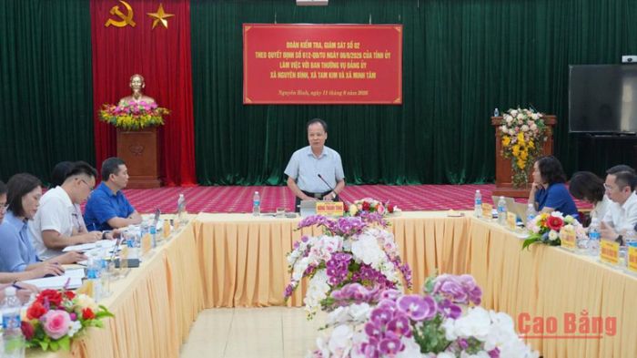 Trưởng Ban Tuyên giáo và Dân vận Tỉnh ủy Nông Thanh Tùng phát biểu tại buổi làm việc.