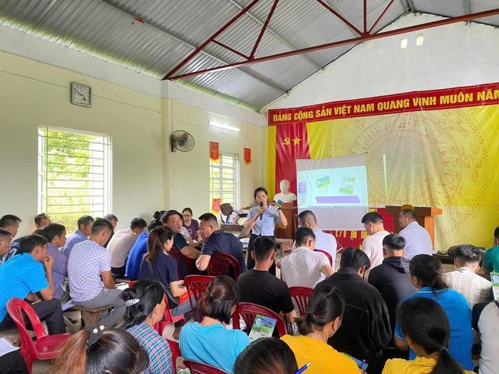 Lao động tại các địa phương trong tỉnh tìm hiểu thông tin việc làm tại phiên giao dịch việc làm do Trung tâm Dịch vụ việc làm tỉnh tổ chức.