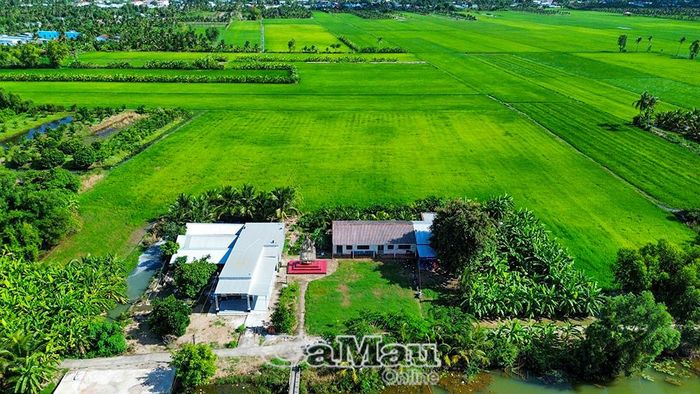 Mô hình sản xuất lúa chất lượng cao tại xã Khánh Lâm.