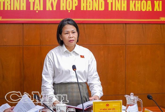 Bà Vũ Hồng Như Yến, Trưởng ban Kinh tế - Ngân sách, HĐND tỉnh, phát biểu kết luận hội nghị.