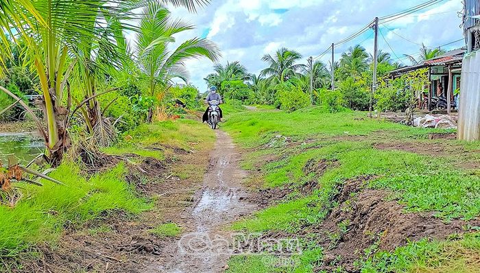  Đường đất đen trở nên lầy lội, trơn trượt mỗi khi mưa xuống, gây khó khăn cho người và phương tiện qua lại.