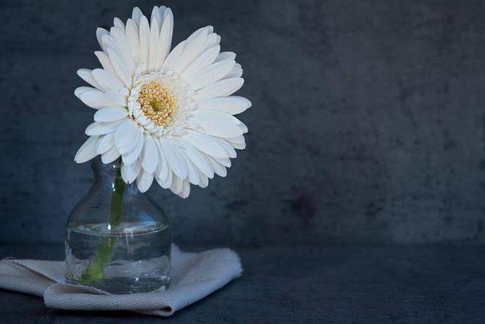 Đừng tùy tiện bình phẩm về nhà cửa và chuyện riêng của gia đình. Ảnh minh họa.