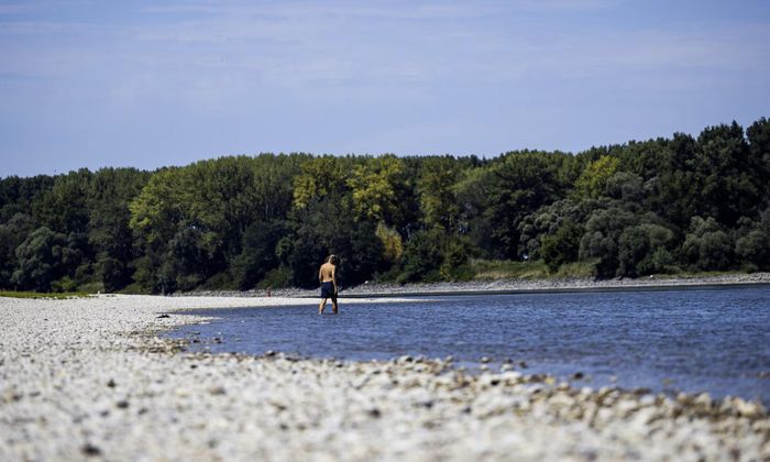 Một người đàn ông đi dọc bờ sông Danube đang cạn dòng vì hạn hán ở Áo hồi tháng 8 - Ảnh: Reuters