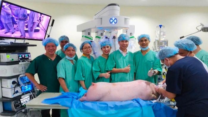 Trong hai ngày thử nghiệm, các bác sĩ đã thực hiện nhiều thao tác phẫu thuật trên heo, trong đó có cắt túi mật, cắt một phần gan, cắt dạ dày…