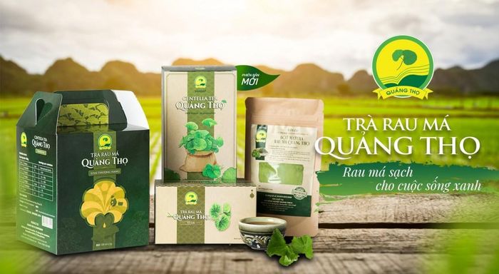 Trà rau má Quảng Thọ của HTX Nông nghiệp Quảng Thọ II đã hết hạn công nhận sản phẩm OCOP