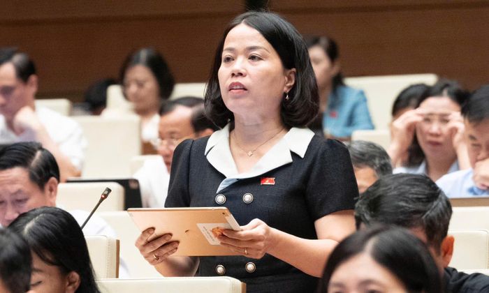 Đại biểu Quốc hội Lý Thị Lan.