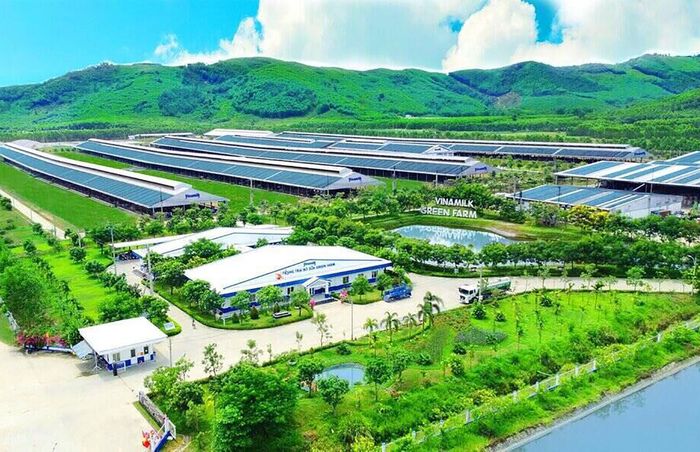 Lượng carbon trung hòa của trang trại Green Farm tương đương 30.000 sân bóng phủ đầy cây xanh, lượng nước tuần hoàn tương đương 86 hồ bơi Olympic… Ảnh: Vinamilk