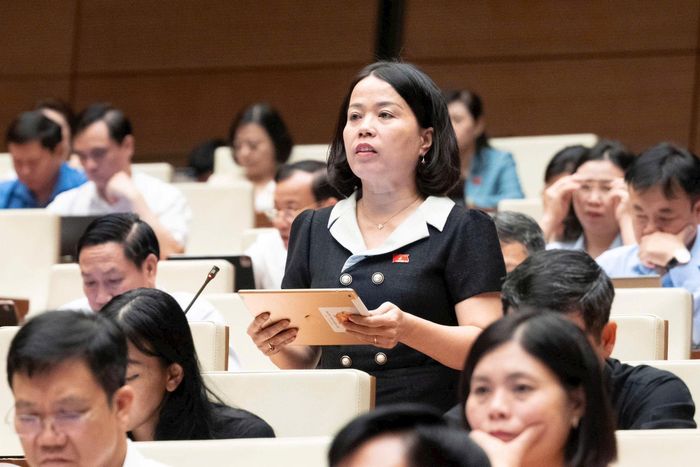 Đại biểu Lý Thị Lan (Đoàn Tuyên Quang) thảo luận tại phiên họp. Ảnh: media.quochoi.vn