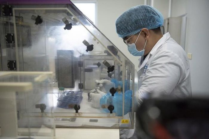 Nghiên cứu khoa học ở Trung tâm Giám định ADN, Viện Hàn lâm Khoa học và Công nghệ Việt Nam. Ảnh: Vân Nga