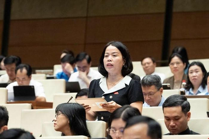 ĐBQH Lý Thị Lan. Ảnh: Media Quốc hội