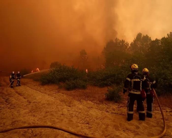  Nắng nóng do El Nino làm gia tăng nguy cơ cháy rừng. Ảnh: Reuters. 
