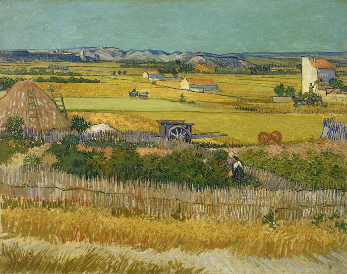  Bức tranh Mùa gặt của danh họa Vincent van Gogh được vẽ vào năm 1888. Ảnh: wikipedia. 