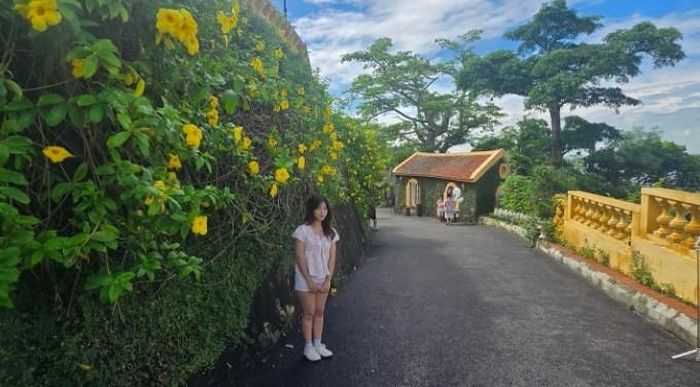 Biệt thự thu hút nhiều du khách tham quan