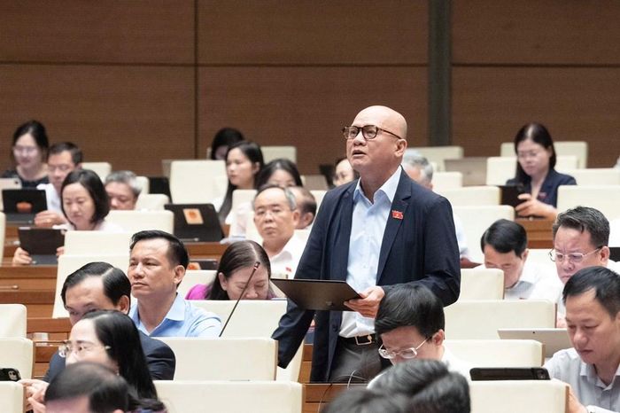 Đại biểu Bế Trung Anh phát biểu