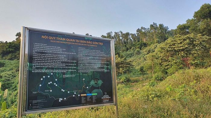 Bảng nội quy tham quan tại bán đảo Sơn Trà