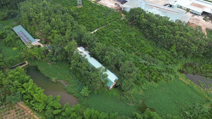 Diện tích đất để xây dựng trang trại là đất nông nghiệp và chưa thực hiện chuyển đổi sang đất đa mục đích để phù hợp với chăn nuôi