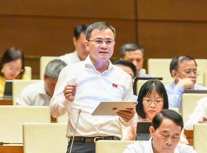 Đại biểu Tào Đức Thắng (TPHCM) góp ý cho dự thảo Luật - Ảnh: chinhphu.vn/Nhật Bắc
