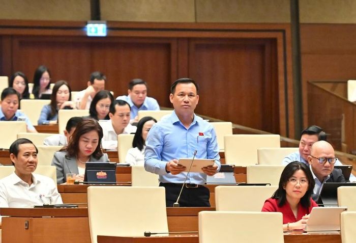 Đại biểu Trần Quang Tâm (Đắk Lắk) đóng góp ý kiến với ba vấn đề - Ảnh: chinhphu.vn/Nhật Bắc