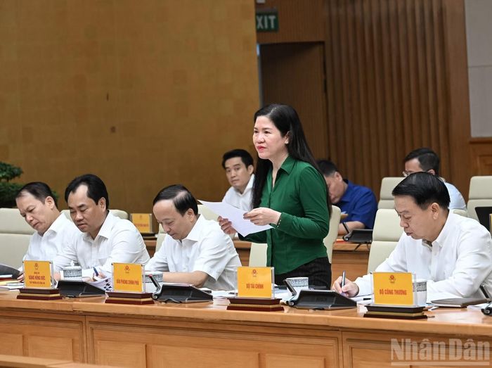 Phó Chủ nhiệm Văn phòng Chính phủ Mai Thị Thu Vân phát biểu tại cuộc làm việc.