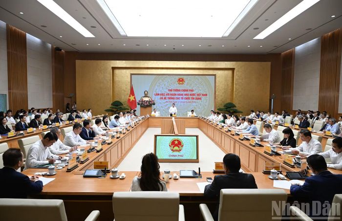 Quang cảnh cuộc làm việc.