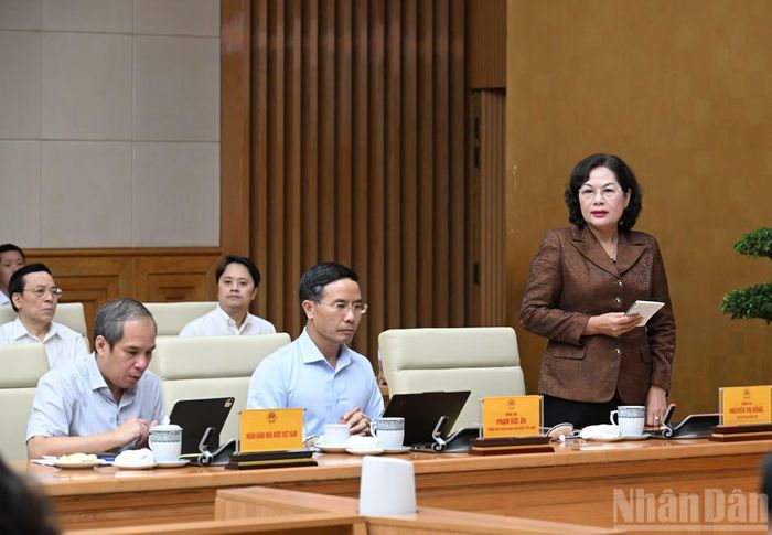 Phó Chủ tịch Quốc hội Nguyễn Thị Hồng phát biểu tại cuộc làm việc.