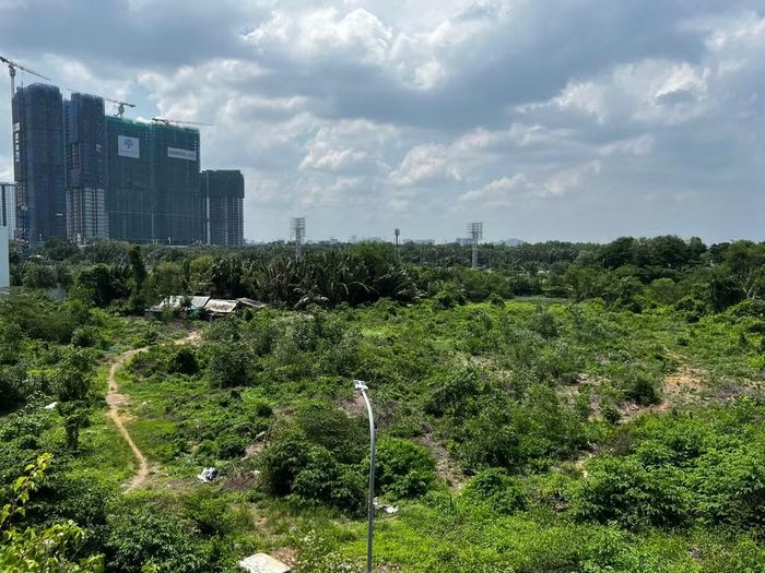 Một khu đất tại phường Bình Trưng, Thành phố Hồ Chí Minh. (Ảnh: QUANG QUÝ)