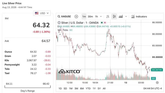 Biểu đồ giá bạc thế giới ngày 13/8. (Nguồn: kitco.com)