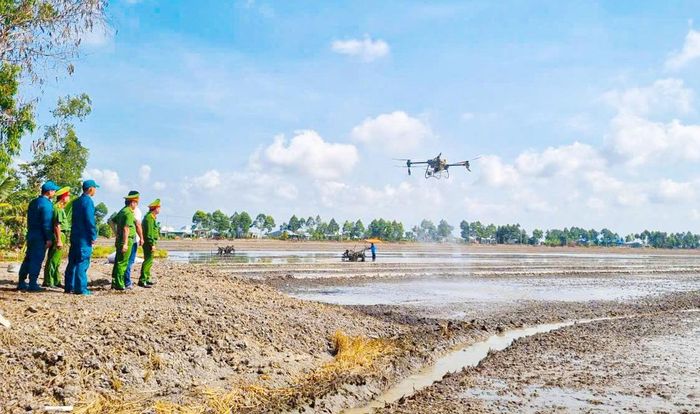  Lực lượng chức năng xã An Thạnh (TP Cần Thơ) kiểm tra thực tế thiết bị drone vận hành trên đồng lúa. Ảnh: TUẤN QUANG 