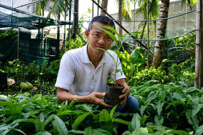  Từ hiệu quả ban đầu, anh hy vọng mô hình này sẽ giúp nông dân có thêm lựa chọn trong phát triển kinh tế vườn. Ảnh: NGUYỄN TRANG 